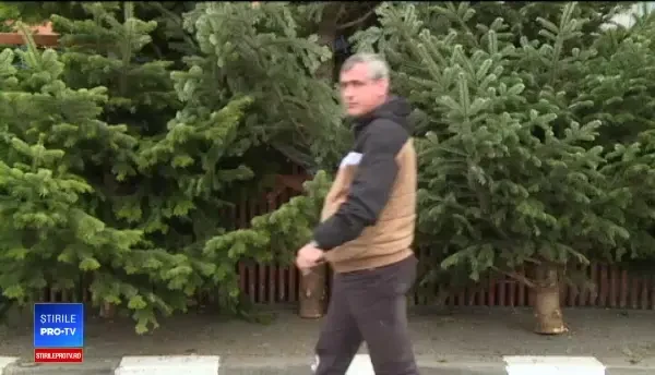 Brazii din Germania sau Olanda, la mare căutare de români. De la ce preț pornesc