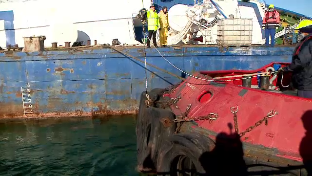 Pericol uriaș în portul Midia. Specialiștii anunță că apa e contaminată: „Se descompun"