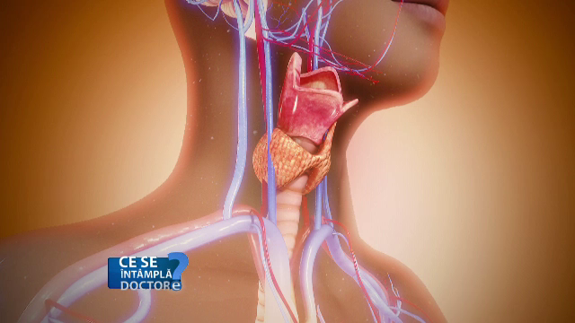 Semnele care arată că puteți dezvolta boli alte tiroidei
