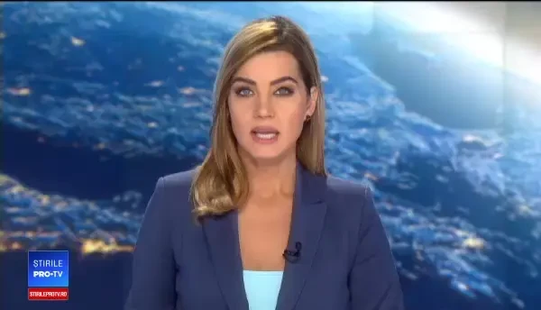 Pui de urs lovit de tren în Brașov. Medicii l-au găsit agonizând