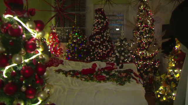 Doi soți din Germania și-au decorat casa cu 350 de brazi de Crăciun. Au intrat în Cartea Recordurilor