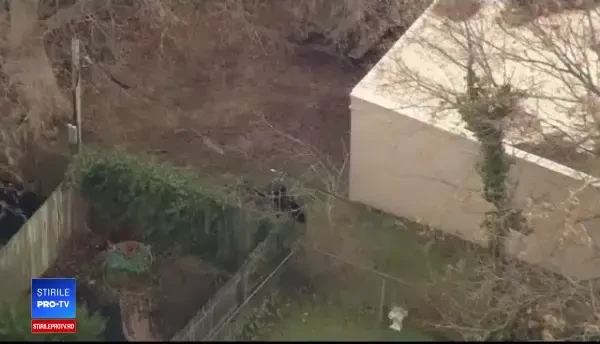 Panică într-un cartier din Statele Unite. Un urs a încercat să intre în locuințe