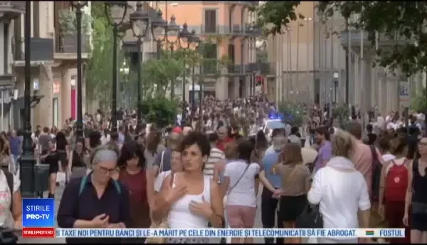 Cum arată panfofii realizați din mușchi și PET-uri reciclate sau gențile din coji de mere