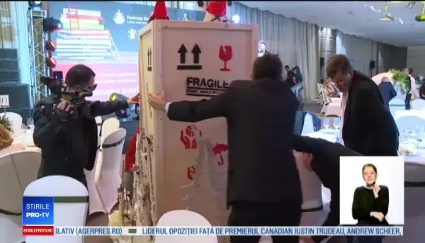 Brazi "de designer", scoşi la licitaţie. Câți bani s-au strâns pentru copiii sărmani