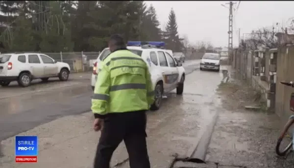 Săteni din Prahova, înșelați de escroci care cumpără porcii cu sume derizorii. Îi păcălesc că au pestă