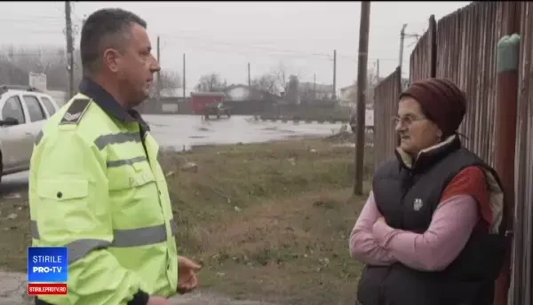 Săteni din Prahova, înșelați de escroci care cumpără porcii cu sume derizorii. Îi păcălesc că au pestă