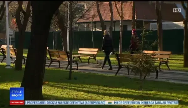 Horoscop 19 decembrie, cu Neti Sandu. Taurii primesc o mărire de salariu înainte de sărbători