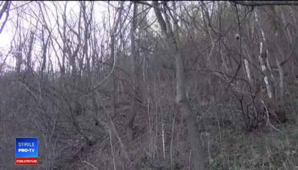 Tânăr mort în timp ce vâna mistreţi. Explicaţia bizară a prietenilor săi