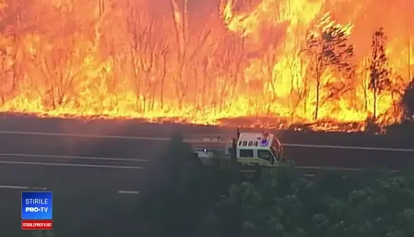 Cea mai fierbinte zi din istoria Australiei. Maxima a ajuns la aproape 50 de grade Celsius