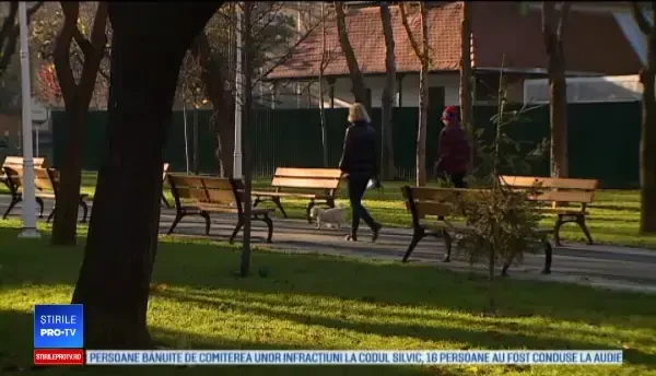 Horoscop 20 decembrie 2019, cu Neti Sandu. Scorpionii vor avea cheltuieli neașteptate