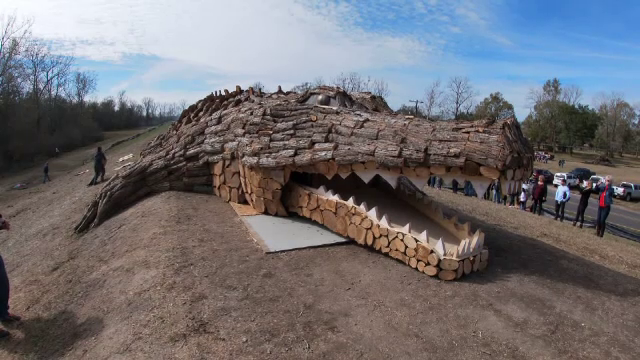 Tradiții inedite de Crăciun. Orașul în care se dă foc unui crocodil în Ajun