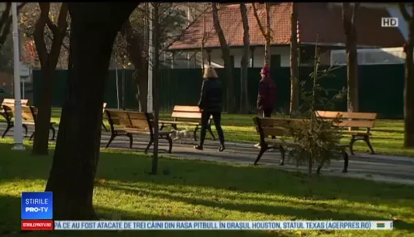 Horoscop 23 decembrie 2019. Berbecii primesc bani înainte de Crăciun