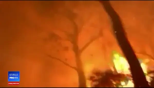 Infernul continuă în Australia: „Îmi ardeau ochii în cap.” Poveștile tulburătoare