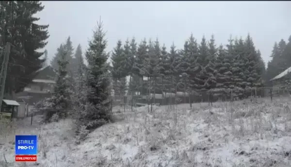 Pomana porcului, în stațiunile de la munte. Cum se distrează românii în ajunul Crăciunului