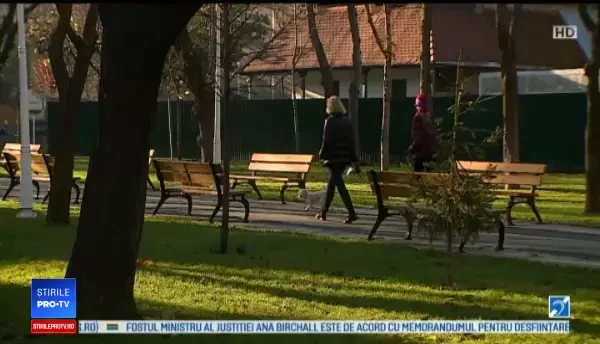 Horoscop 29 decembrie 2019, prezentat de Neti Sandu. Săgetătorii au parte de o surpriză