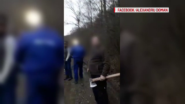 VIDEO. Bătaie cu topoare într-o pădure din Plopu. De la ce ar fi pornit scandalul