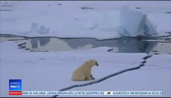 Locul de pe Terra unde oamenii se căsătoresc la minus 47 de grade