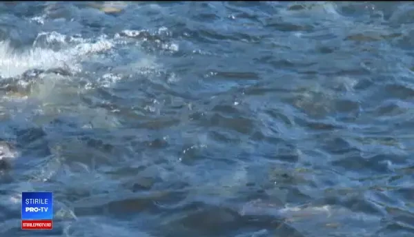 Superstițiile românilor de Revelion. Ce pățești dacă mănânci pui de Anul Nou