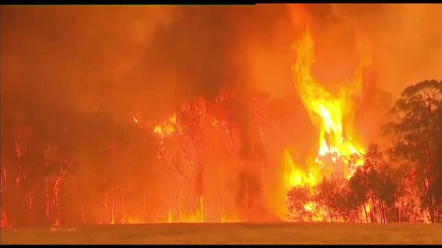 Mărturii dramatice ale românilor din iadul de foc din Australia: "Totul arde"