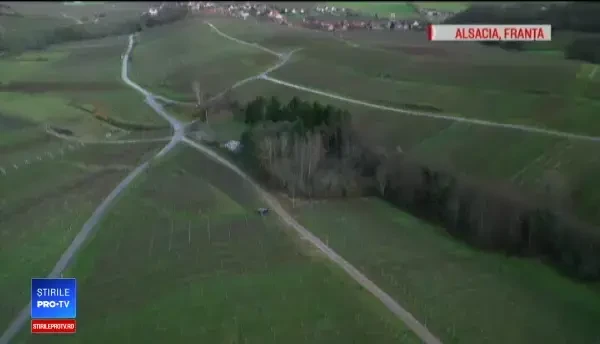 Drumul vinului din Alsacia, faimos în întreaga lume. Care sunt principalele atracții