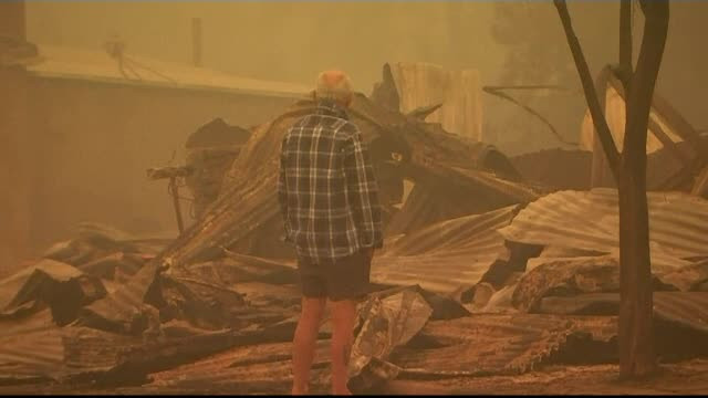 500 de mil. de animale au murit în incendiile din Australia. Premierul a fost huiduit: „Ești un idiot”
