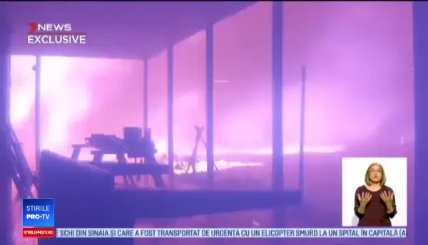 500 de mil. de animale au murit în incendiile din Australia. Premierul a fost huiduit: „Ești un idiot”