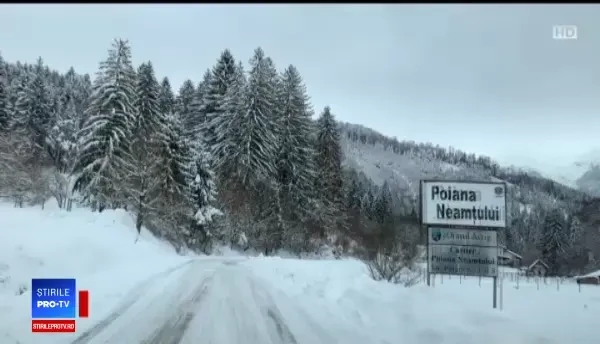 Experiență fabuloasă pentru mai mulți turiști: „A fost ceva unic. N-am mai trăit așa ceva”