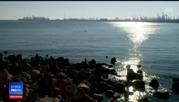 Turiştii care se scufundă în Marea Neagră în ianuarie. "Probabil caută comorile"