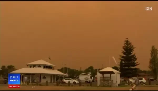 Cum arată „cel mai vechi hamburger din lume”. În iulie împlinește 21 de ani