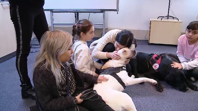 Tabără dedicată copiilor dependenţi de dializă. Ce surprize le-au pregătit organizatorii