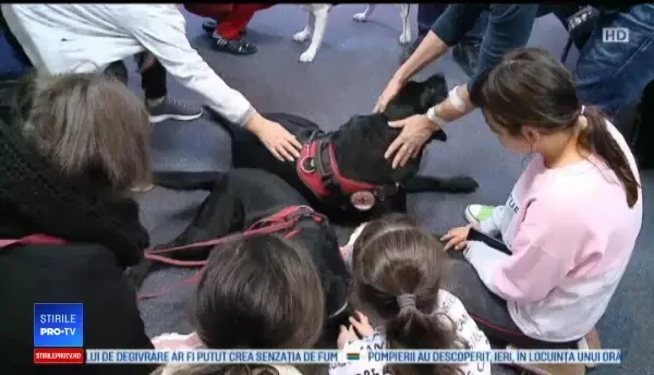 Tabără dedicată copiilor dependenţi de dializă. Ce surprize le-au pregătit organizatorii