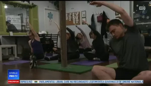 Metode inedite de relaxare. Cursuri de yoga într-o cafenea cu pisici