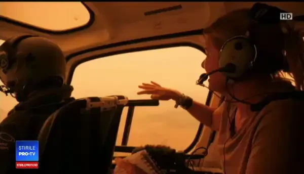 Cel puțin 24 de oameni și un MILIARD de animale au murit în incendiile din Australia