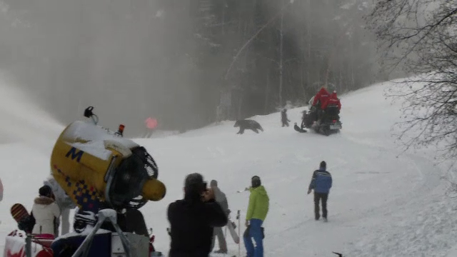 Soluția găsită pentru ursul de pe pârtia Clăbucet. Ce se va întâmpla cu animalul