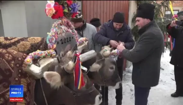 Tradiții inedite de Sf. Ion. De ce a fost un tânăr scufundat de prieteni în apa rece ca gheața