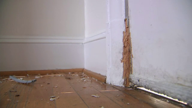 Și-au găsit casa vandalizată când s-au întors din vacanță. Creatura care dormea pe canapea