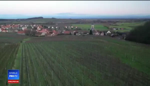 Un francez și o columbiancă au învățat să facă vin în Oltenia și și-au dezvoltat propria vinărie în Franța