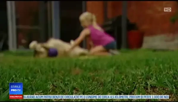 Locul unde copii învață cum să se apere când sunt atacați de câini. „Este bine să învețe”