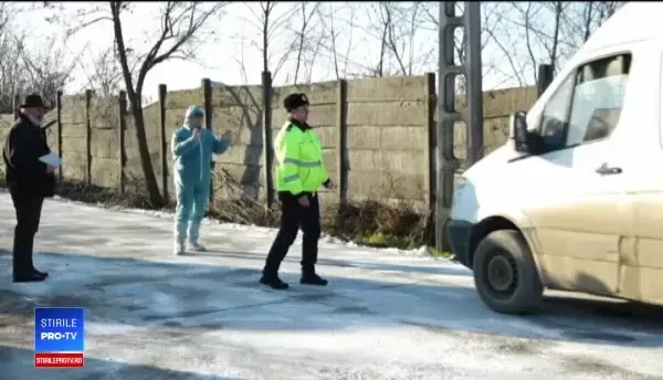 Alertă în România, după ce a fost depistată gripa aviară. 19.000 de păsări, sacrificate