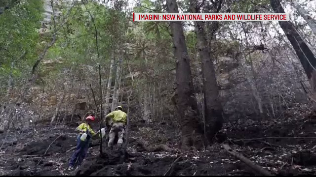 Misiune strict secretă în Australia. Ce au încercat autoritățile să salveze din calea focului