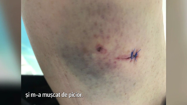 Veverița care terorizează un întreg cartier. „Am ajuns să nu mai ieșim din casă”