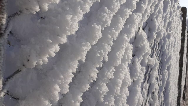 Imagini desprinse din basm. Fenomenul care i-a uluit pe fotografii din România