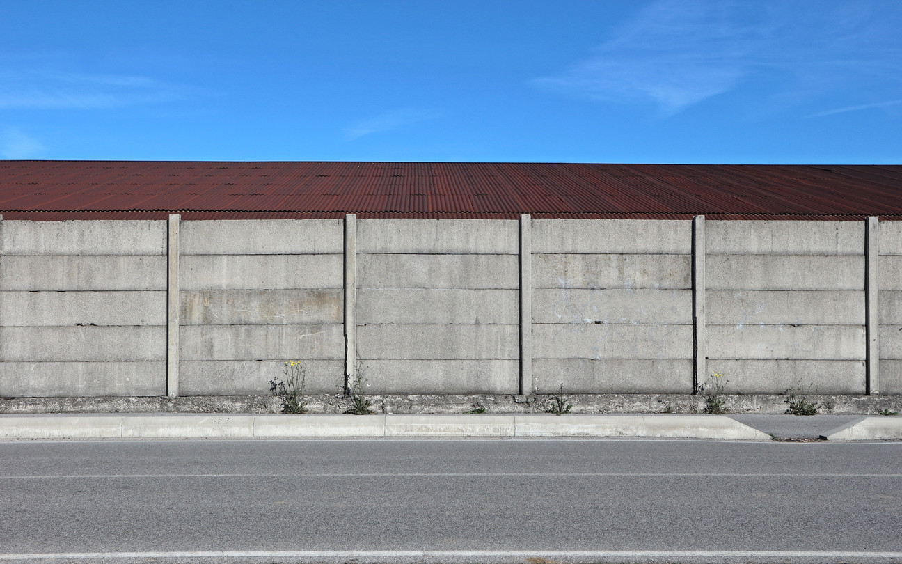 Descoperire istorică în Italia. Ce au găsit niște grădinari care curățau un zid