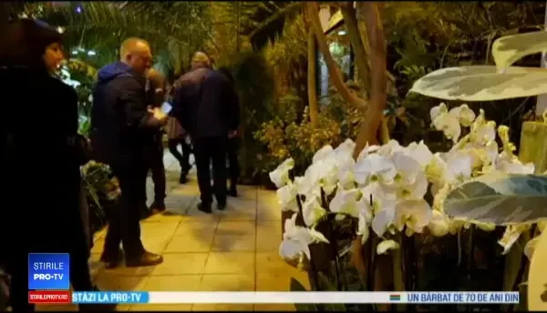 Expoziție spectaculoasă de orhidee în Moscova, deși temperaturile sunt sub zero grade