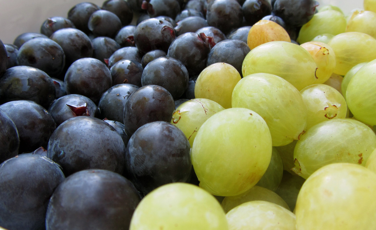 Descoperirea unei femei în strugurii pe care-i cumpărase: „M-a șocat. Mișcau niște picioare”