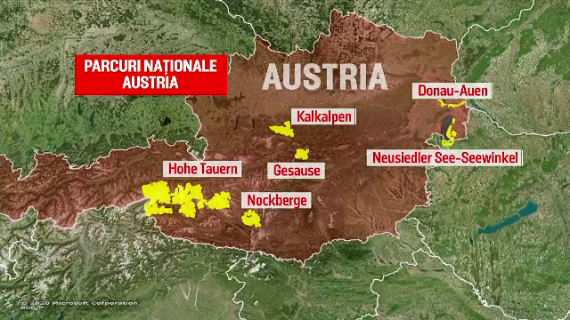 Pădurile din țară, într-o situație dezolantă. De ce ar trebui să luăm Austria ca exemplu