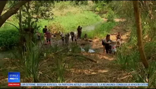 "Grădinițe în pădure", un nou trend în educație. Cum îi ajută pe copii