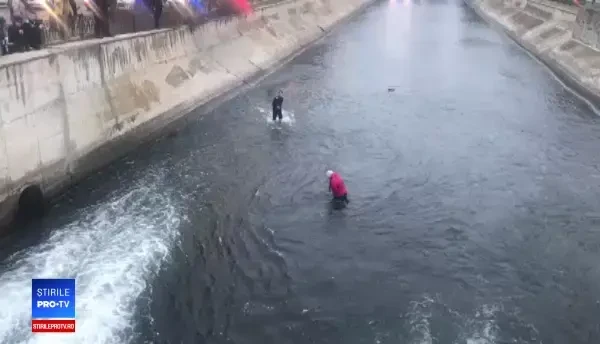 Femeie salvată din mijlocul râului Dâmbovița de jandarmi, în Capitală