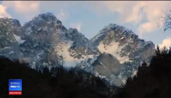 Pădurile din țară, într-o situație dezolantă. De ce ar trebui să luăm exemplu pe Austria