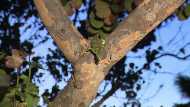 Fenomen îngrijorător într-un stat american, în urma răcirii bruște a vremii